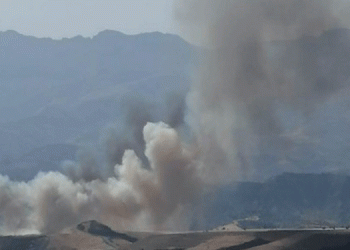 300 dönümlük arazi kül oldu