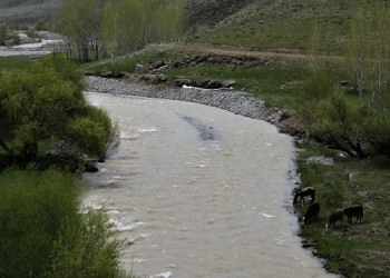 Zilan’da bir hafıza yok ediliyor
