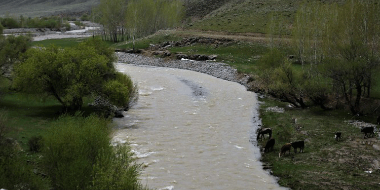 Zilan’da bir hafıza yok ediliyor Zilan’da bir hafıza yok ediliyor