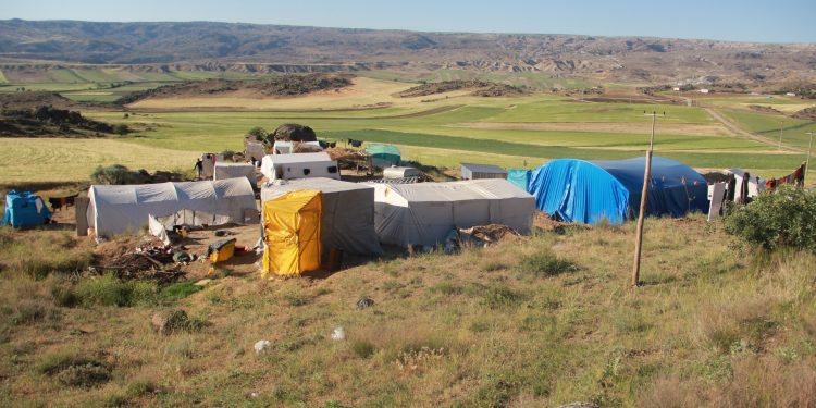 Tarım işçileri su için 2 kilometre yürüyor