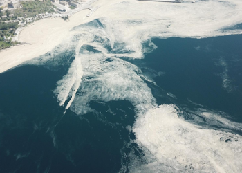 Marmara Denizi’nin ardından Karadeniz’de de ‘deniz salyası’ ortaya çıktı
