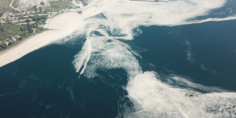 Marmara Denizi’nin ardından Karadeniz’de de ‘deniz salyası’ ortaya çıktı Marmara Denizi’nin ardından Karadeniz’de de ‘deniz salyası’ ortaya çıktı
