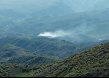 Orman yangınına ‘asılsız’ savunma