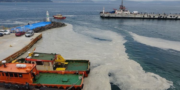 Marmara’da deniz salyası tehdidi büyüyor