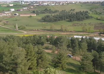 Kent Ormanı’nı kurtaran karar