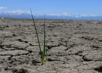 Prof. Dr. Alaeddinoğlu: Daha kurak dönemler karşımıza çıkacak