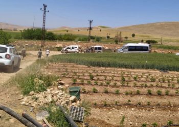 Kuraklıkla mücadele eden çiftçilerin şimdi de elektriği kesildi