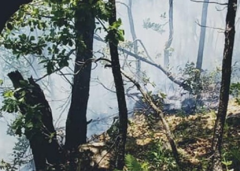 Nazımiye’de çıkan yangını köylüler söndürdü