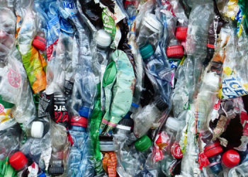 Tek kullanımlık plastik atığın yarısından fazlasının arkasında 20 şirket var