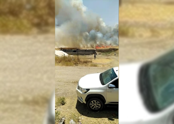 Silvan’da 500 dönümlük arazi küle döndü