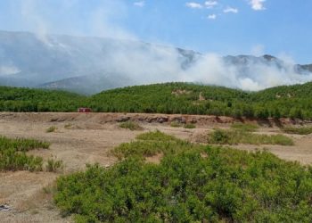 Dicle’deki yangın sürüyor
