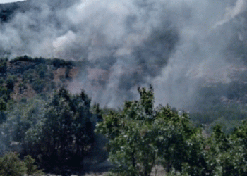 Dicle’deki yangın Elazığ sınırına ulaştı
