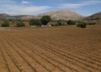 Adıyaman tütün yetiştiricisi: Bize karışmayın yeter