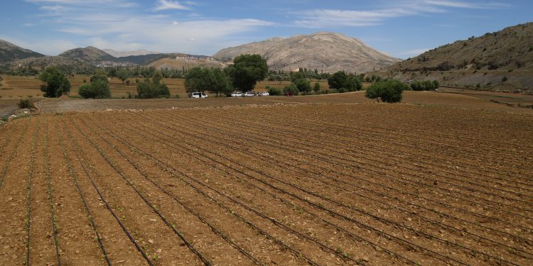 Adıyaman tütün yetiştiricisi: Bize karışmayın yeter