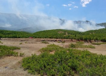 Dicle’deki çıkartılan yangın 9’uncu gününde: Müdahale eden yok
