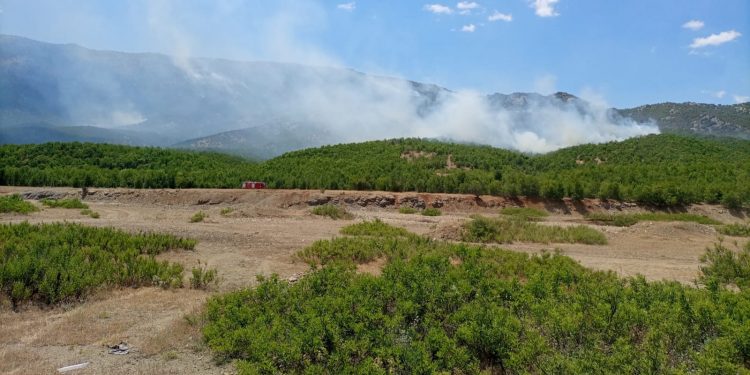 Dicle’deki çıkartılan yangın 9’uncu gününde: Müdahale eden yok