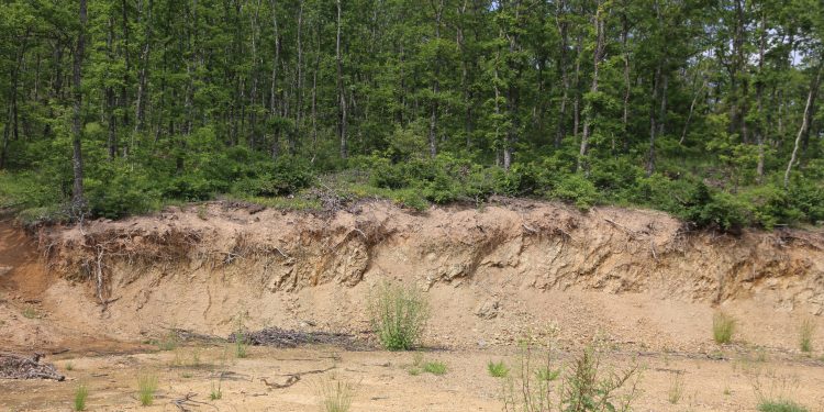Kavaklılardan taş ocağı tepkisi: Sadece zengine hizmet ediyorlar Kavaklılardan taş ocağı tepkisi: Sadece zengine hizmet ediyorlar