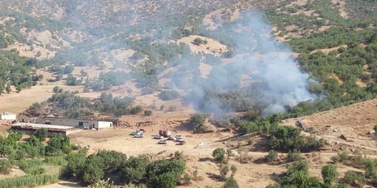 Türkiye’nin bombardımanında 200 koyun öldü Türkiye’nin bombardımanında 200 koyun öldü