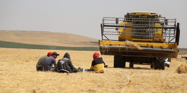 Bozova’da 15 bin dekar toprağın suyu 6 yıldır kesik Bozova’da 15 bin dekar toprağın suyu 6 yıldır kesik
