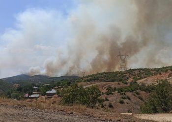 Genç’te yangın: Köyler tehlike altında