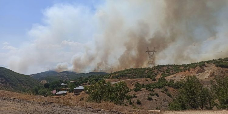 Genç’te yangın: Köyler tehlike altında Genç’te yangın: Köyler tehlike altında