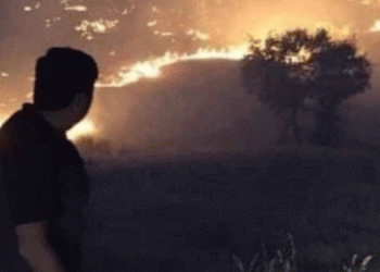 5 gündür süren yangın Genç’i küle çevirdi