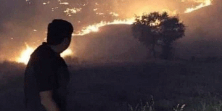 5 gündür süren yangın Genç’i küle çevirdi 5 gündür süren yangın Genç’i küle çevirdi