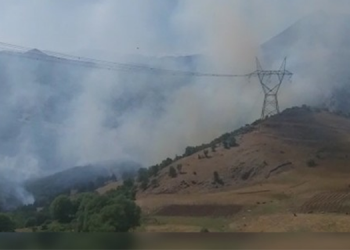 Lice’deki yangın 4 gündür sürüyor