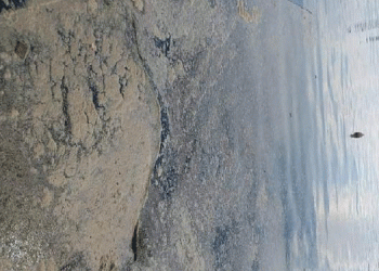 Karadeniz’de müsilaj alarmı