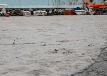 Kurbağalıdere ve Kalamış sahili müsilajla kaplandı