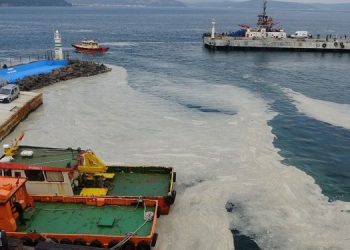 Cumhurbaşkanlığından müsilaj kararı