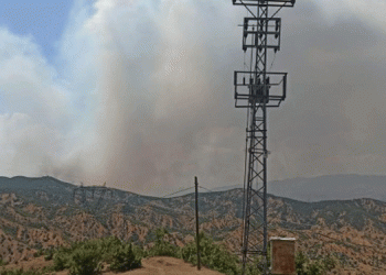 Bingöl Barosu’ndan yangın açıklaması