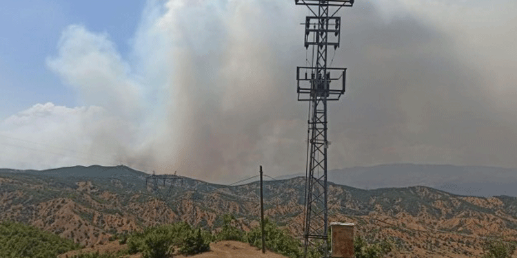 Bingöl Barosu’ndan yangın açıklaması Bingöl Barosu’ndan yangın açıklaması
