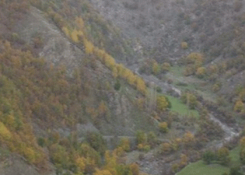Muş Valiliği’nden yayla yasağı