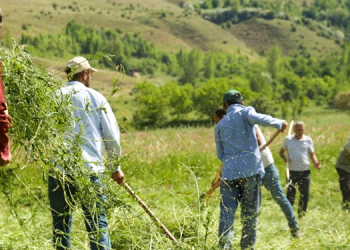 Kuraklık çiftçiyi vurdu: Perişan haldeyiz