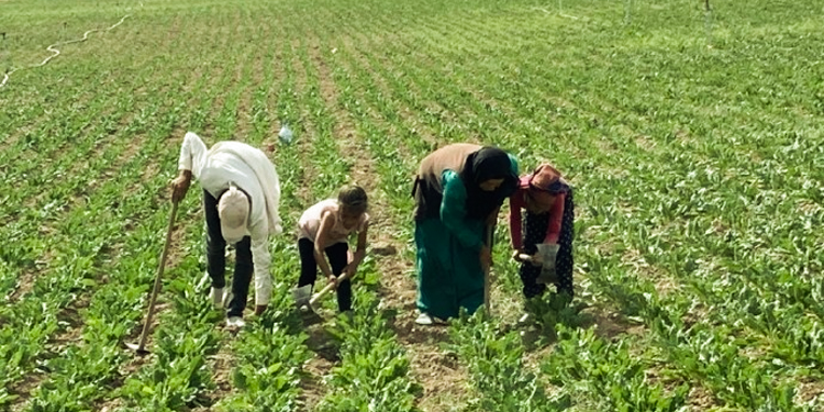 Genelge var, uygulayan yok Genelge var, uygulayan yok