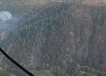 Andırın’da orman yangını