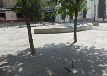 Kayyım ağaçları betona gömdü