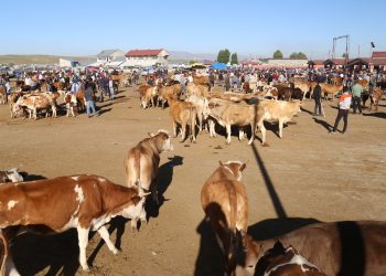‘Krizin nedeni Erdoğan’ın savaş politikası’