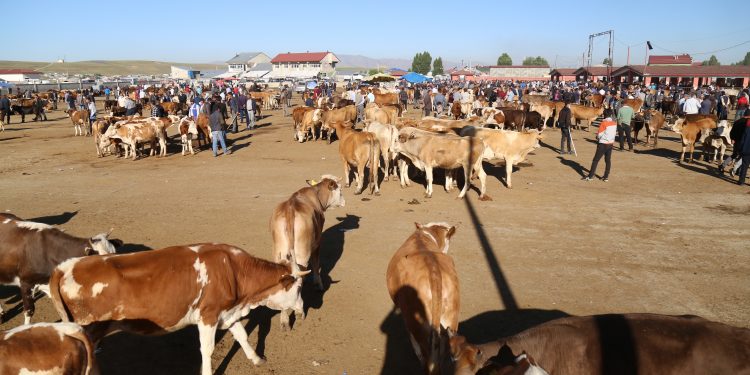 ‘Krizin nedeni Erdoğan’ın savaş politikası’