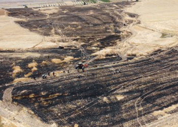 Aksaray’da tarla yangını