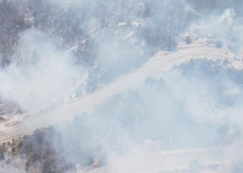 Akseki’de orman yangını