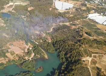 Alanya’da orman yangını
