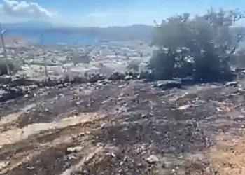 Bodrum’da makilik alan yandı