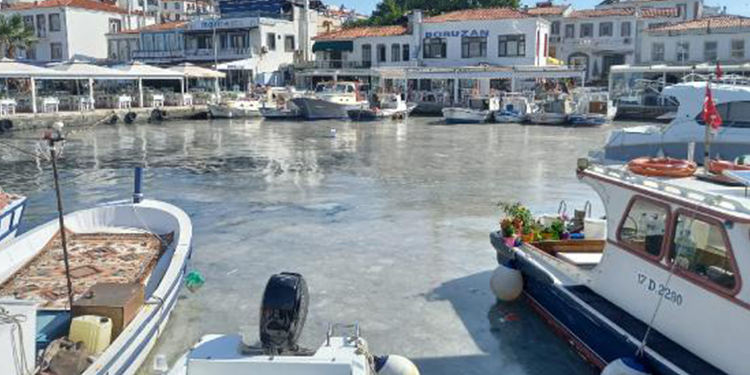 Bozcaada’da müsilaj paniği Bozcaada’da müsilaj paniği