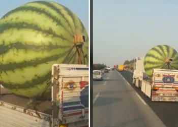 DBB kayyumunun estetik düşmanlığı sürüyor