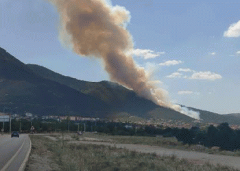 Denizli’de orman yangını