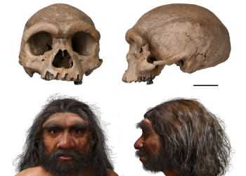 ÇHC’de modern insana Neandertallerden daha yakın bir tür keşfedildi