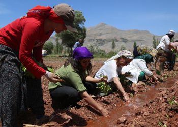 HDP’li kadınlar tütün emekçileriyle buluştu