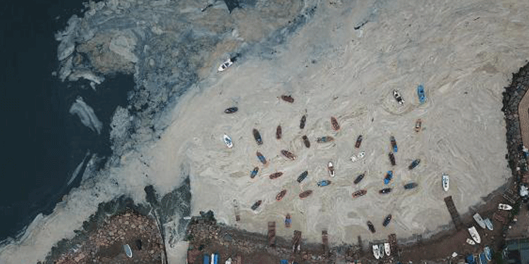 İzmit Körfezi’nde temizliğe rağmen müsilaj İzmit Körfezi’nde temizliğe rağmen müsilaj